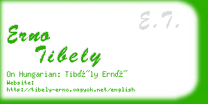 erno tibely business card